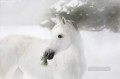 松の木と雪の上の黒と白の馬